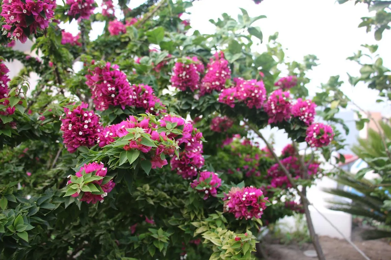 Villa Agrumeto Lipari  Italy